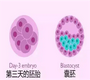 <b>做代孕成功率是多少_全国试管包成功官网,冻胚移植第二天最关键吗?为什么?</b>